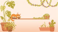 Urban Jungle