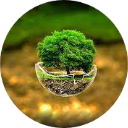 3D Wallpaper New Tab icon