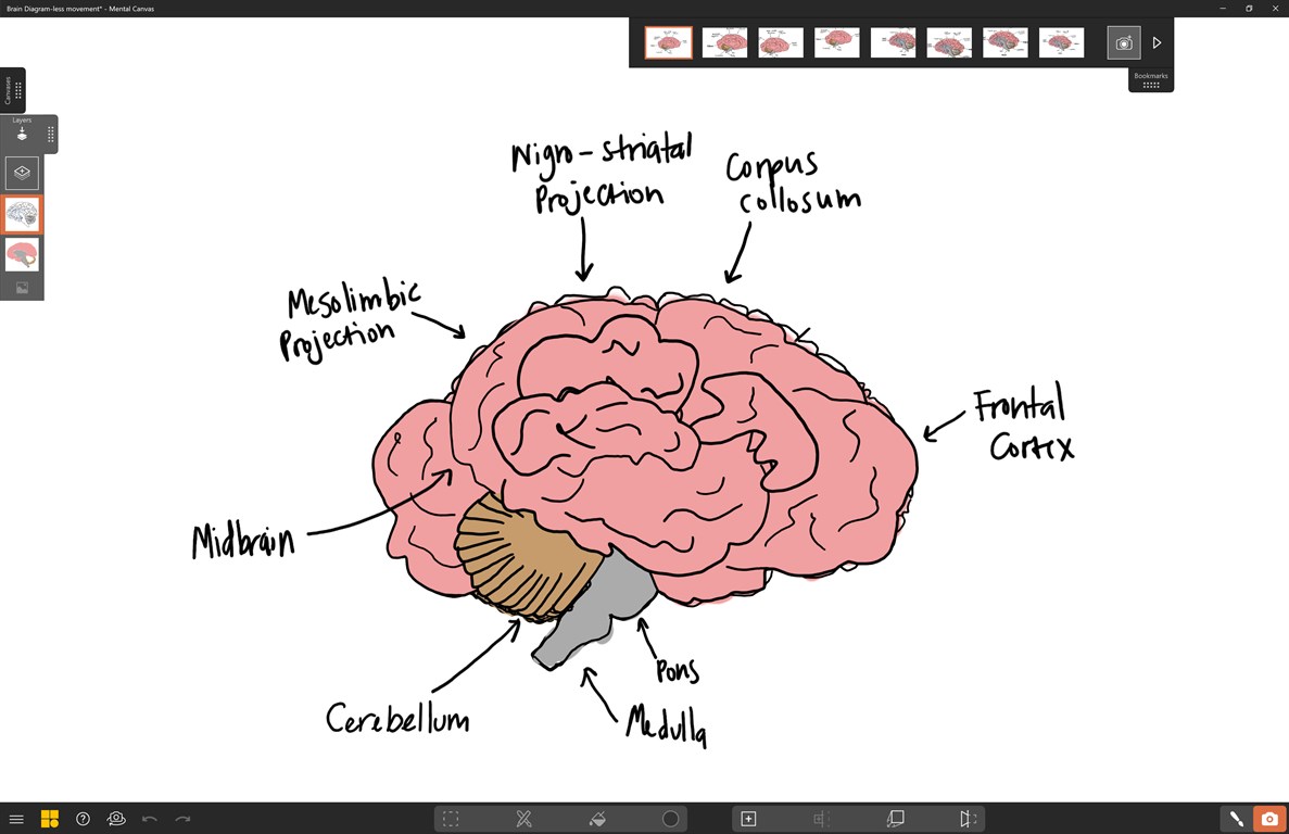 Mental canvas на андроид