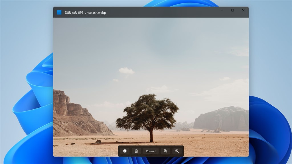 WebP Image Viewer and Converter - Official app in the Microsoft Store