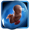PregApp - pregnancy tracker