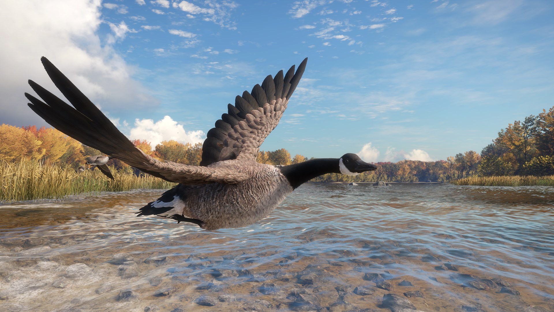 theHunter: Call of the Wild™ - Wild Goose Chase Gear - Windows 10 | Xbox | Chiave | Privato