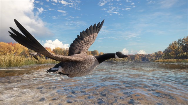 theHunter: Call of the Wild - Wild Goose Chase Gear screenshot 2