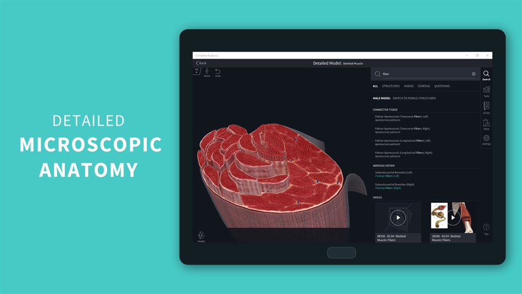Complete Anatomy 2024_6