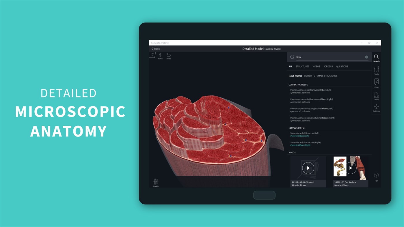 #6. Complete Anatomy 2023 (Windows) 来自: 3D4Medical