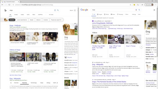 Double Shot Search: Bing & Google Side-by-Side