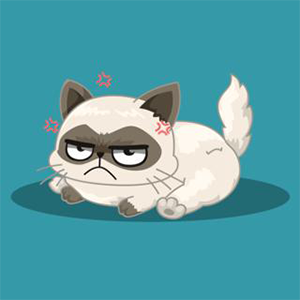 Famous cat for PC Windows