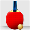 Virtual Table Tennis Pro 3D