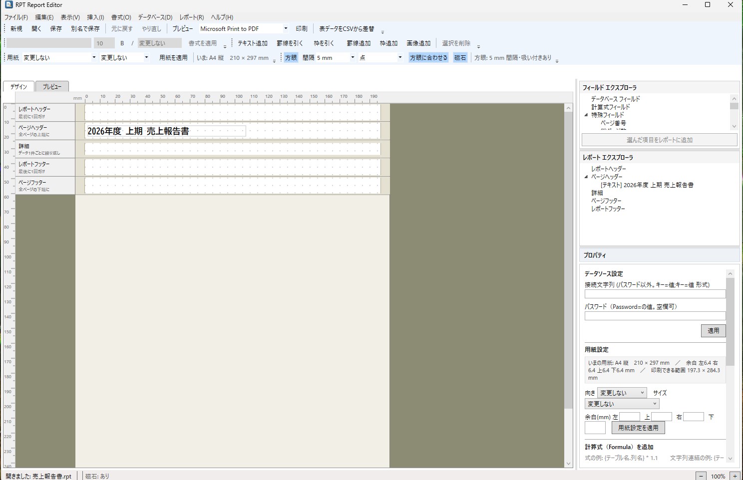 RPT Report Editor screenshot