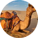 Eritrea Wallpaper New Tab icon