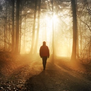 Golden Forest Walk