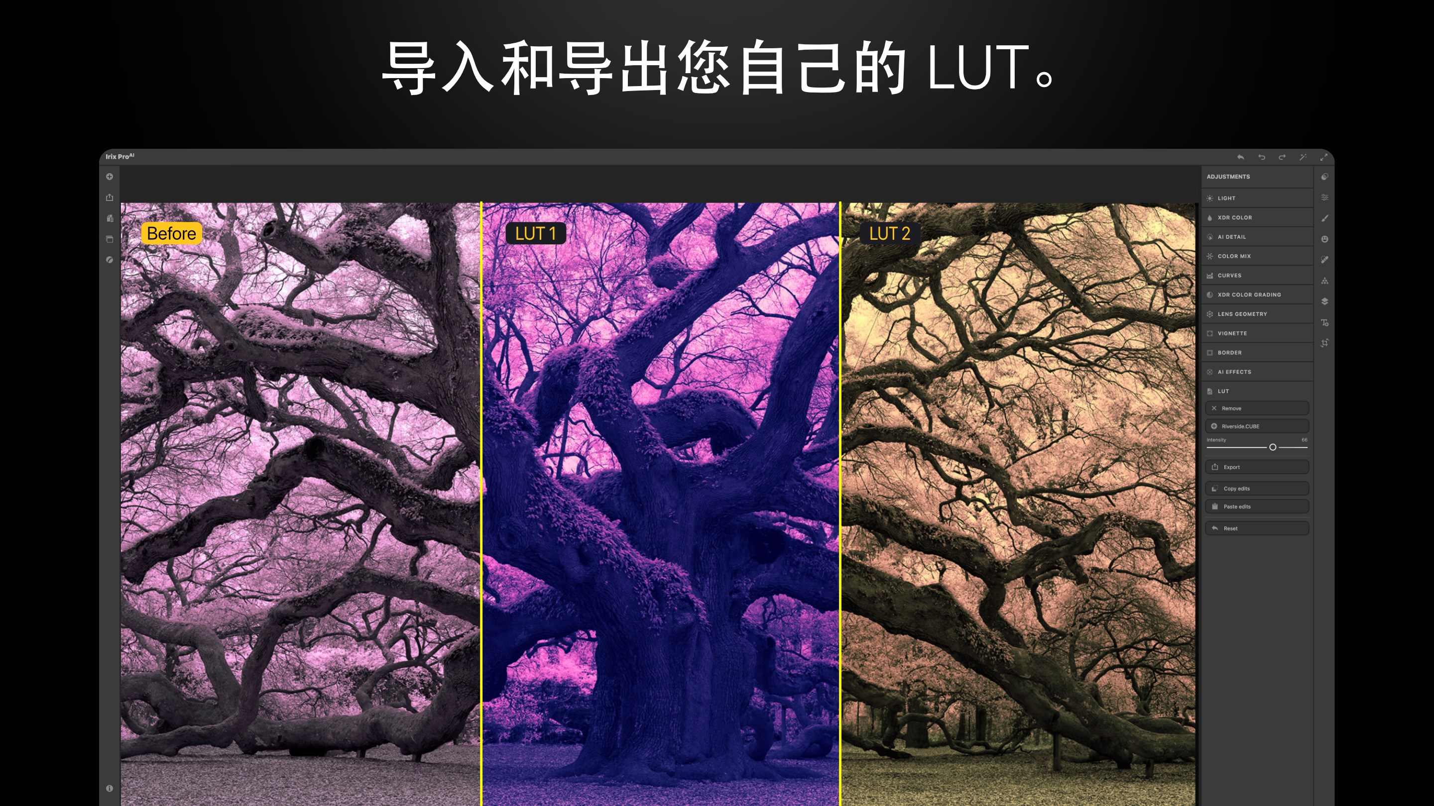 购买Irix HDR - AI 照片编辑器- Microsoft Store zh-SG