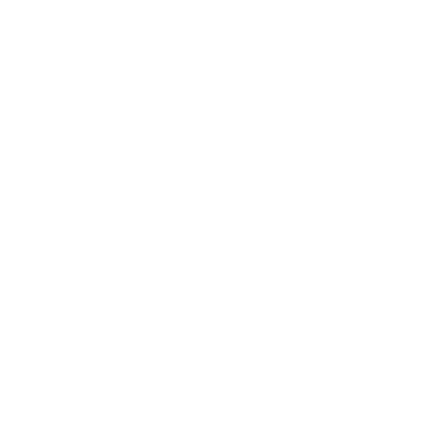 File Renamer