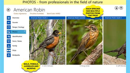 iBird Guide to Birds of North America screenshot 4