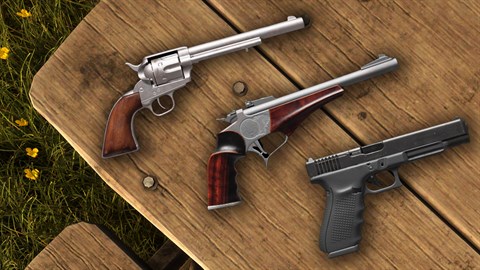 theHunter Call of the Wild™ - Assorted Sidearms Pack