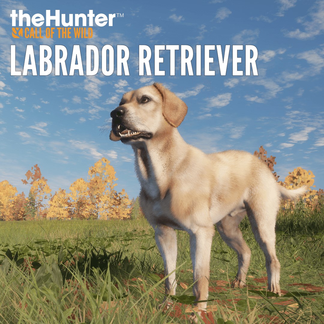 theHunter: Call of the Wild™ - Labrador Retriever - Windows 10