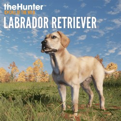 theHunter: Call of the Wild™ - Labrador Retriever - Windows 10