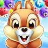 Squirrel Bubble Pet Shooter