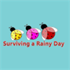 Surviving a Rainy Day