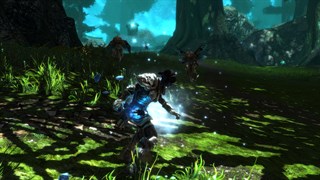 Kingdoms of Amalur: Re-Reckoning screenshot 1