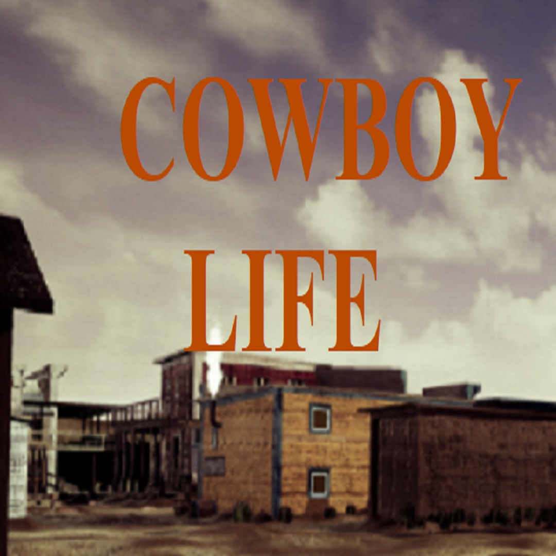 Cowboy Life technical specifications for computer