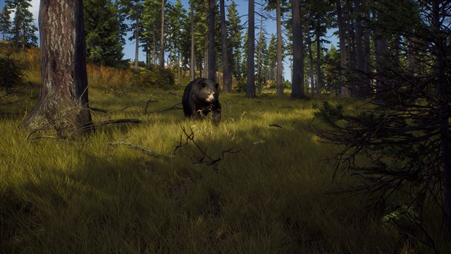 Way of the Hunter: Map Pack 1 screenshot 2