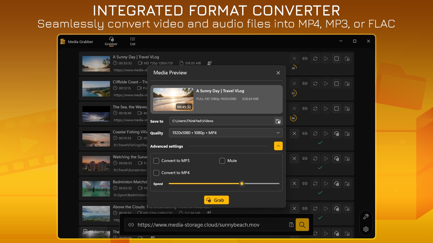 Fast Video Downloader - Media Grabber screenshot