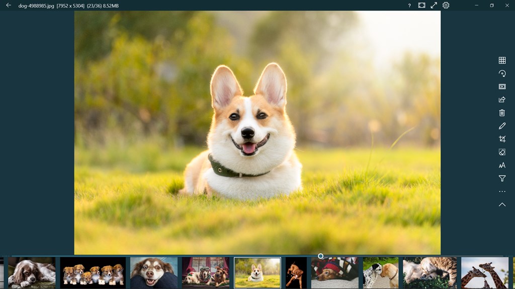 123 Photos: View, Edit & Convert_1