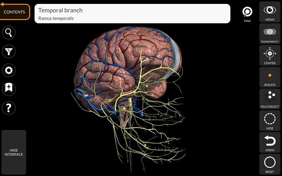Anatomy 3D Atlas_7