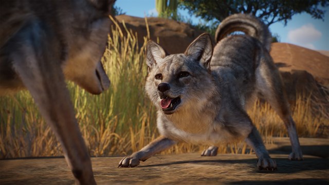 Planet Zoo: Americas Animal Pack screenshot 1