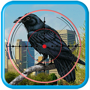 City Common Raven Hunter 3D