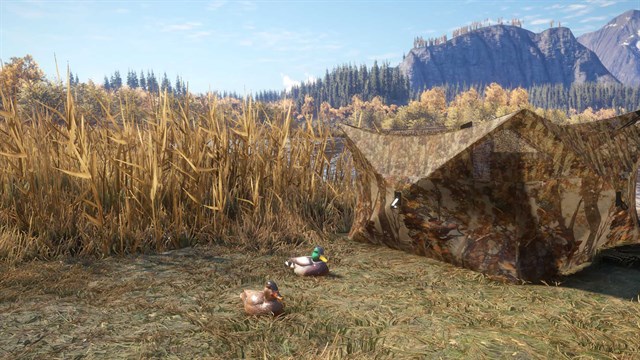 theHunter: Call of the Wild - Duck and Cover Pack - Windows 10 screenshot 3