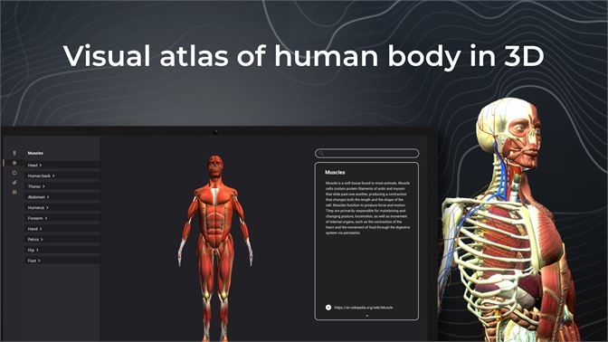 human anatomy atlas online free