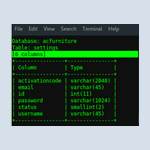 ADVANCED NETWORK PENETRATION TESTING : TOOLS and METHODS