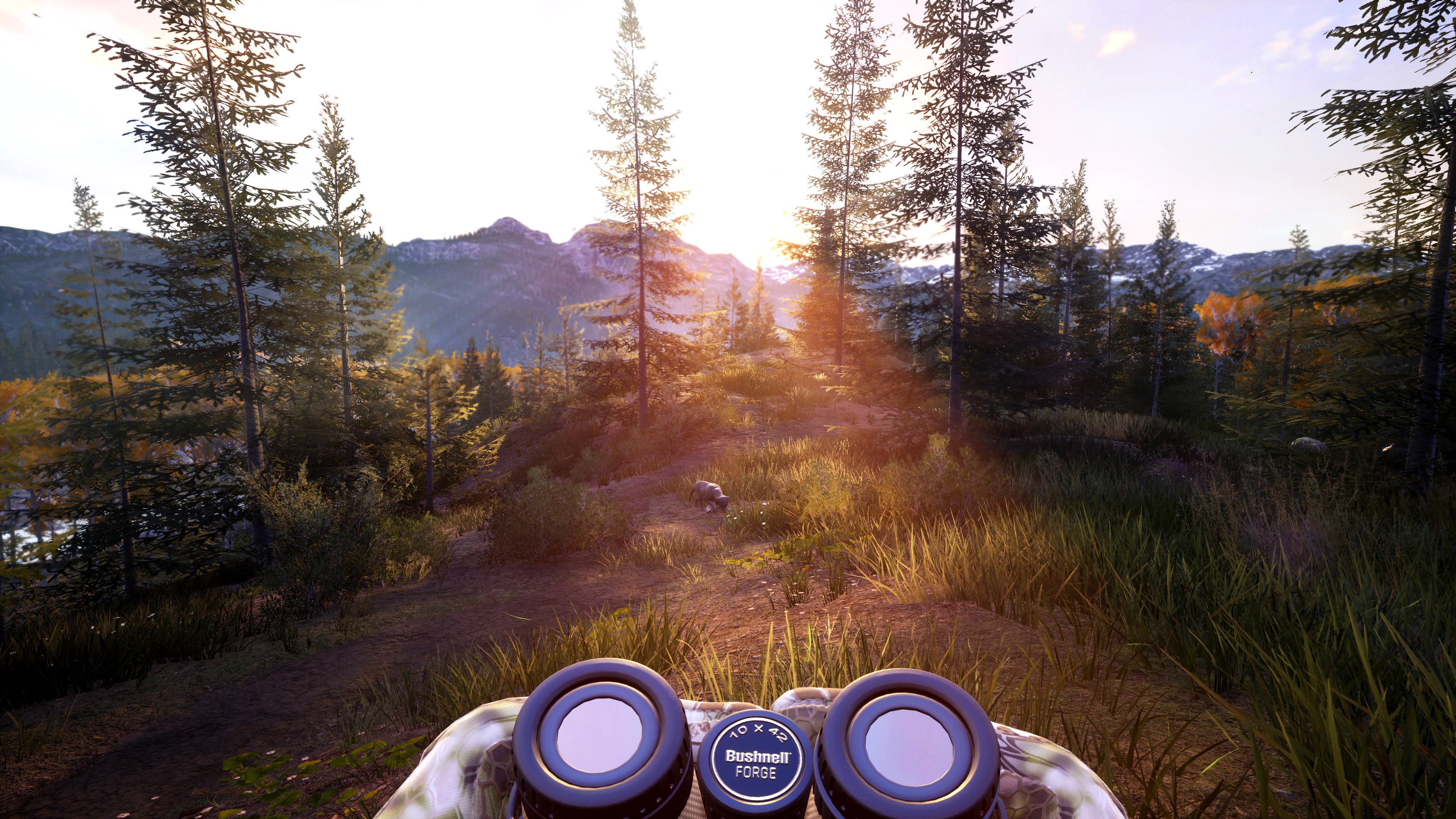 Hunting Simulator 2 Bear Hunter Edition