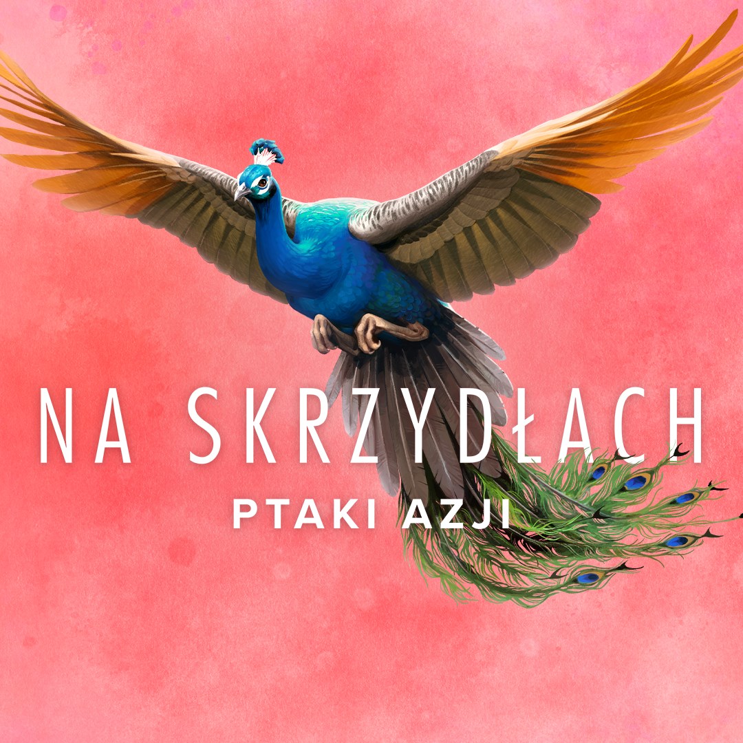 WINGSPAN (Na Skrzydłach): Ptaki Azji