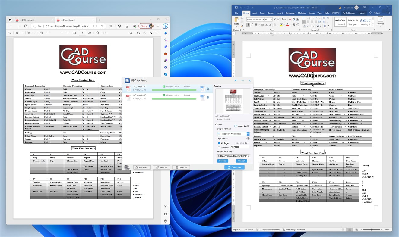 #5. Flyingbee PDF to DOC (Windows) 来自: Flyingbee Software