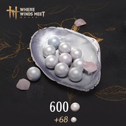 Where Winds Meet-600 Echo Beads