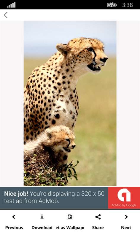 Cheetah' Wallpapers Screenshots 2