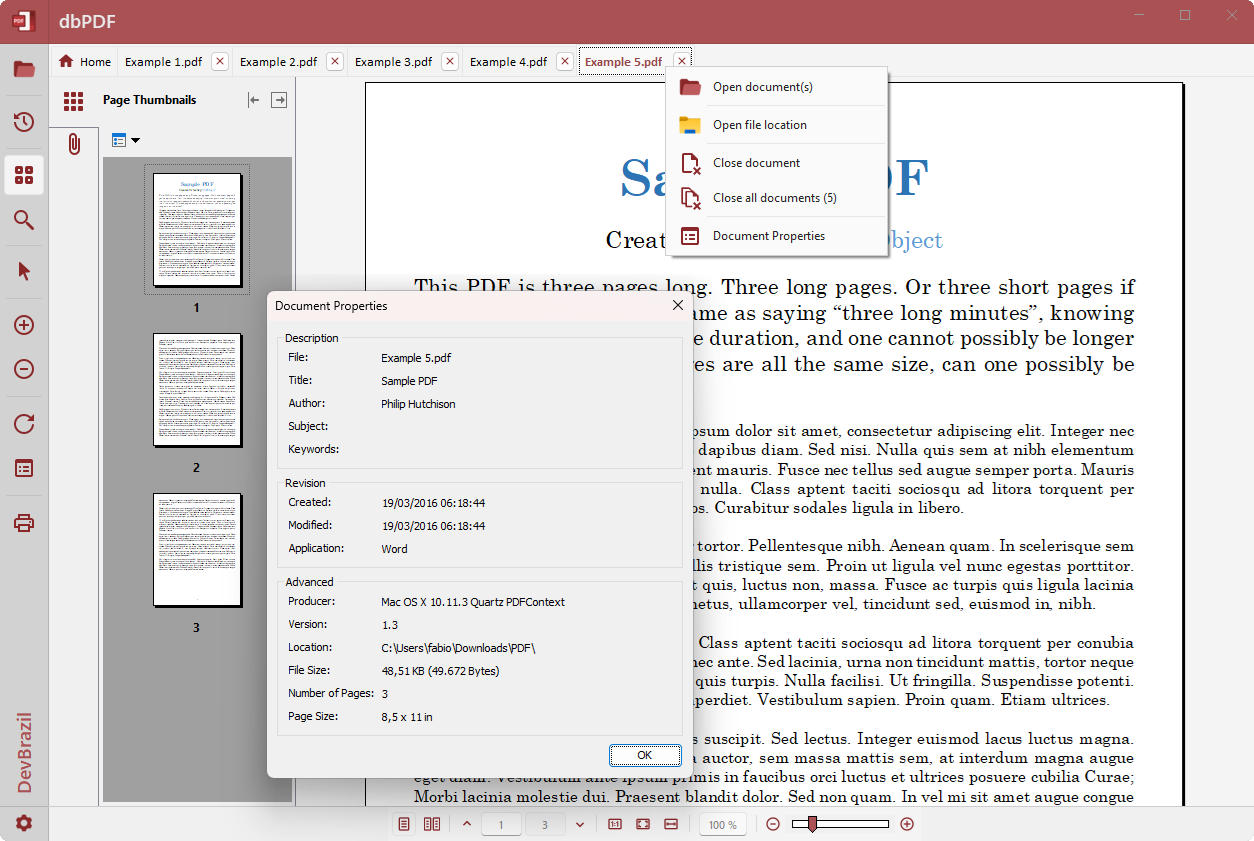 dbPDF screenshot