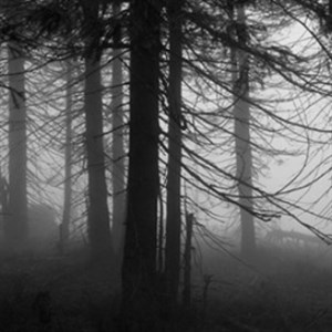 Τρομακτικες ιστοριες