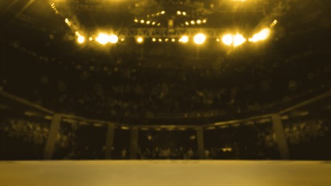 EA SPORTS™ UFC® 3 Champions Editionコンテンツ