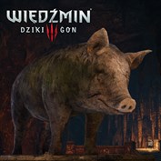 brak dostępnego podpisu
