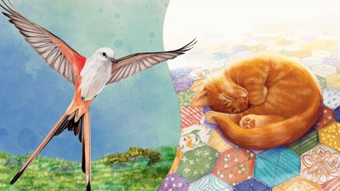 Birds and Cats Special Edition