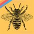 Where the Bees Make Honey