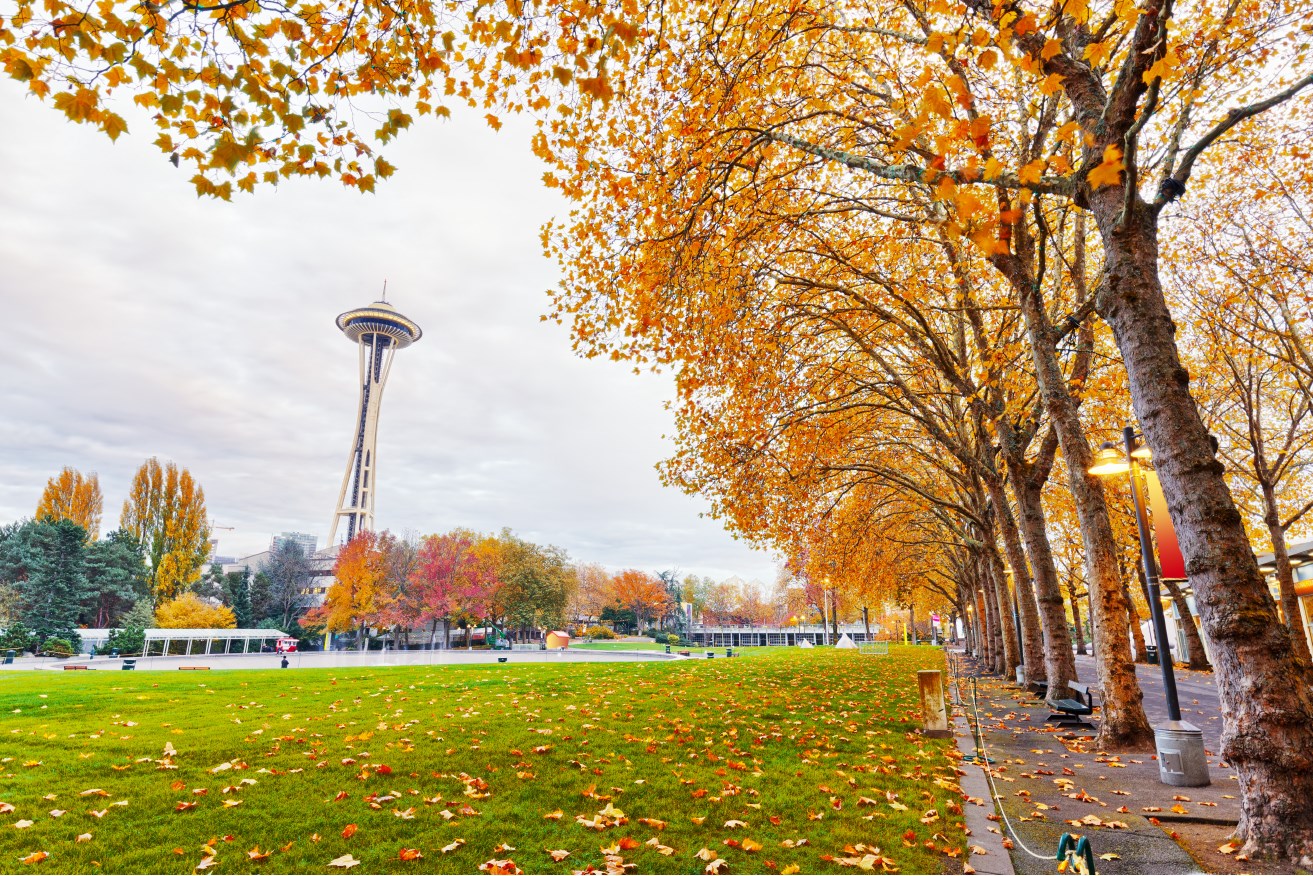 【图】Seattle In Pictures(截图1)