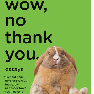 Wow No Thank You.: Essays eBook