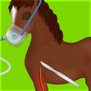 Horse Surgery Games