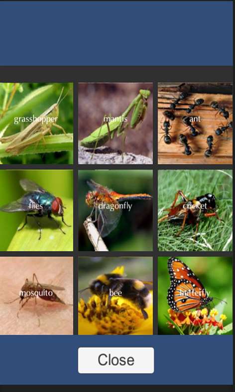 Real Animal Sound Screenshots 2