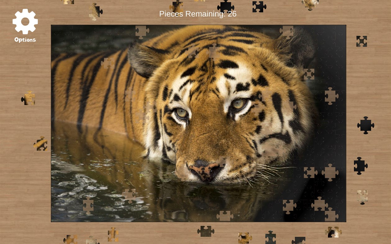 #4. Jigsaw Puzzle X (Windows) بواسطة: 3583 Bytes